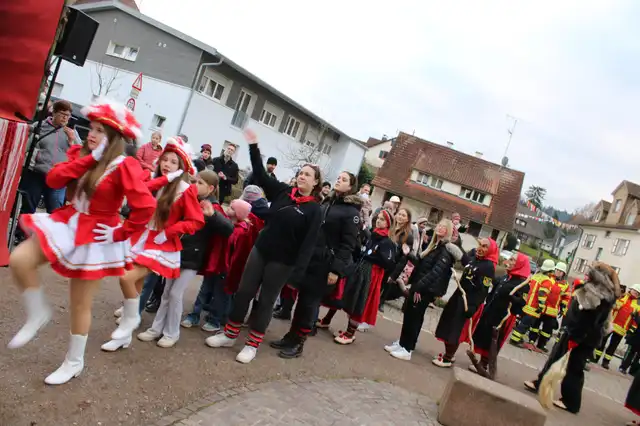 Narrenbaum Stellen – Foto 8