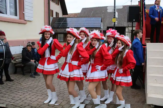 Narrenbaum Stellen – Foto 9