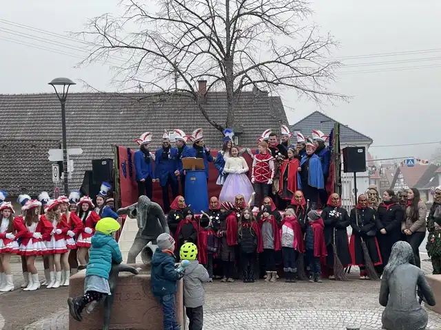Narrenbaum Stellen – Foto 3